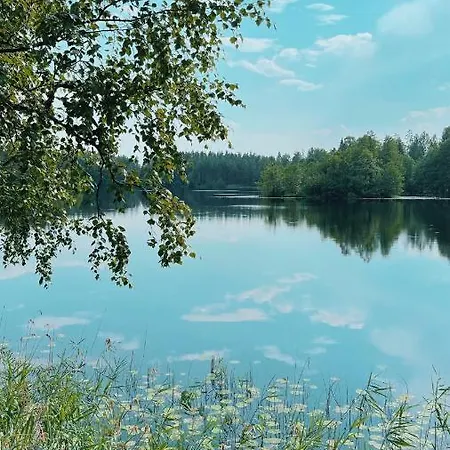 Saarjaerve Vaeike Puhkemaja Jaerve Aeaeres * Viira