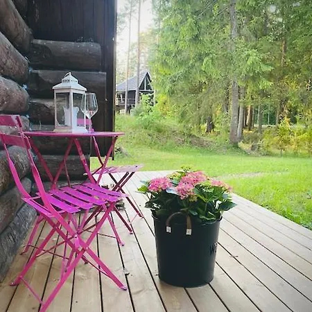 Saarjaerve Vaeike Puhkemaja Jaerve Aeaeres Σαλέ *