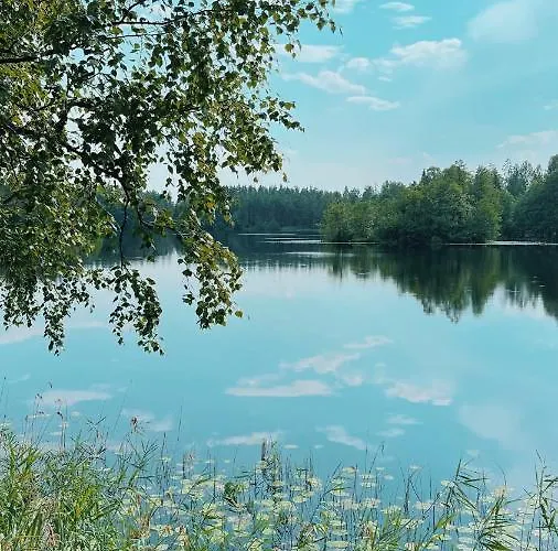 Saarjaerve Vaeike Puhkemaja Jaerve Aeaeres * Viira