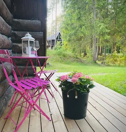 Saarjaerve Vaeike Puhkemaja Jaerve Aeaeres Chalet *